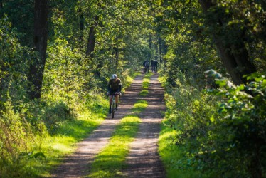 Afbeelding Brainport Bike Week